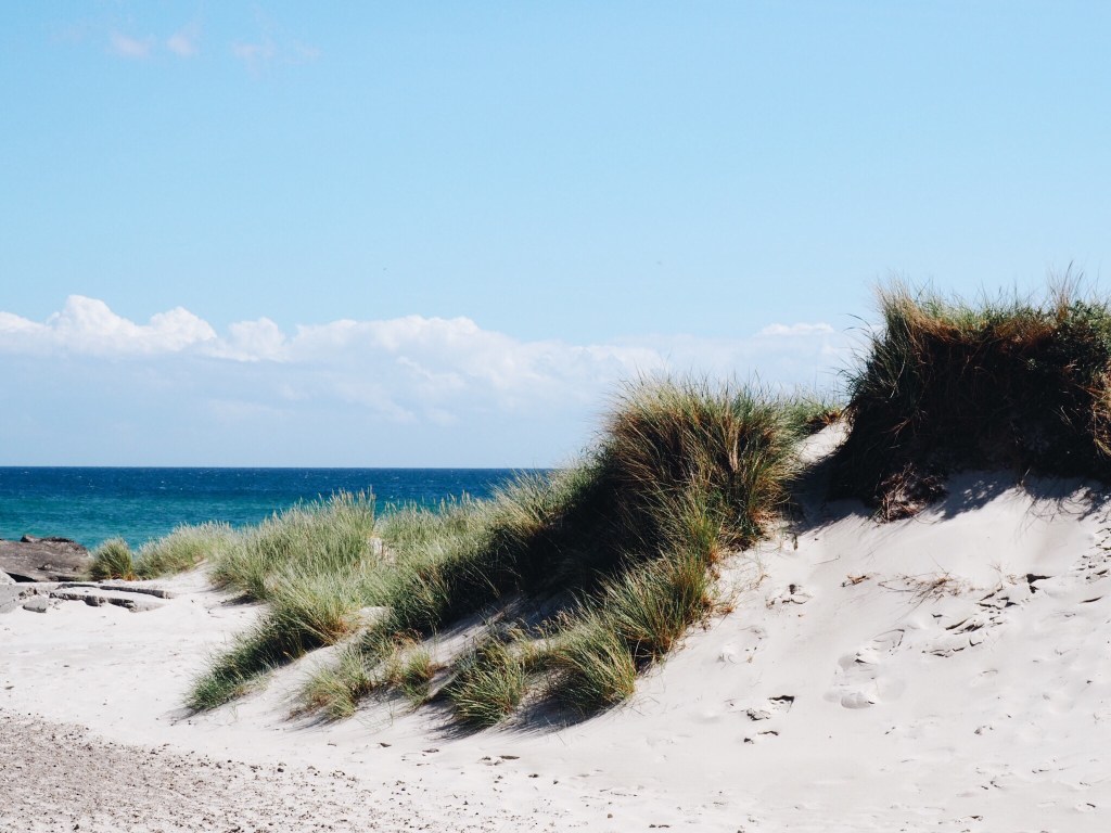 A Road Trip Through Jutland, Denmark’s Picturesque Mainland