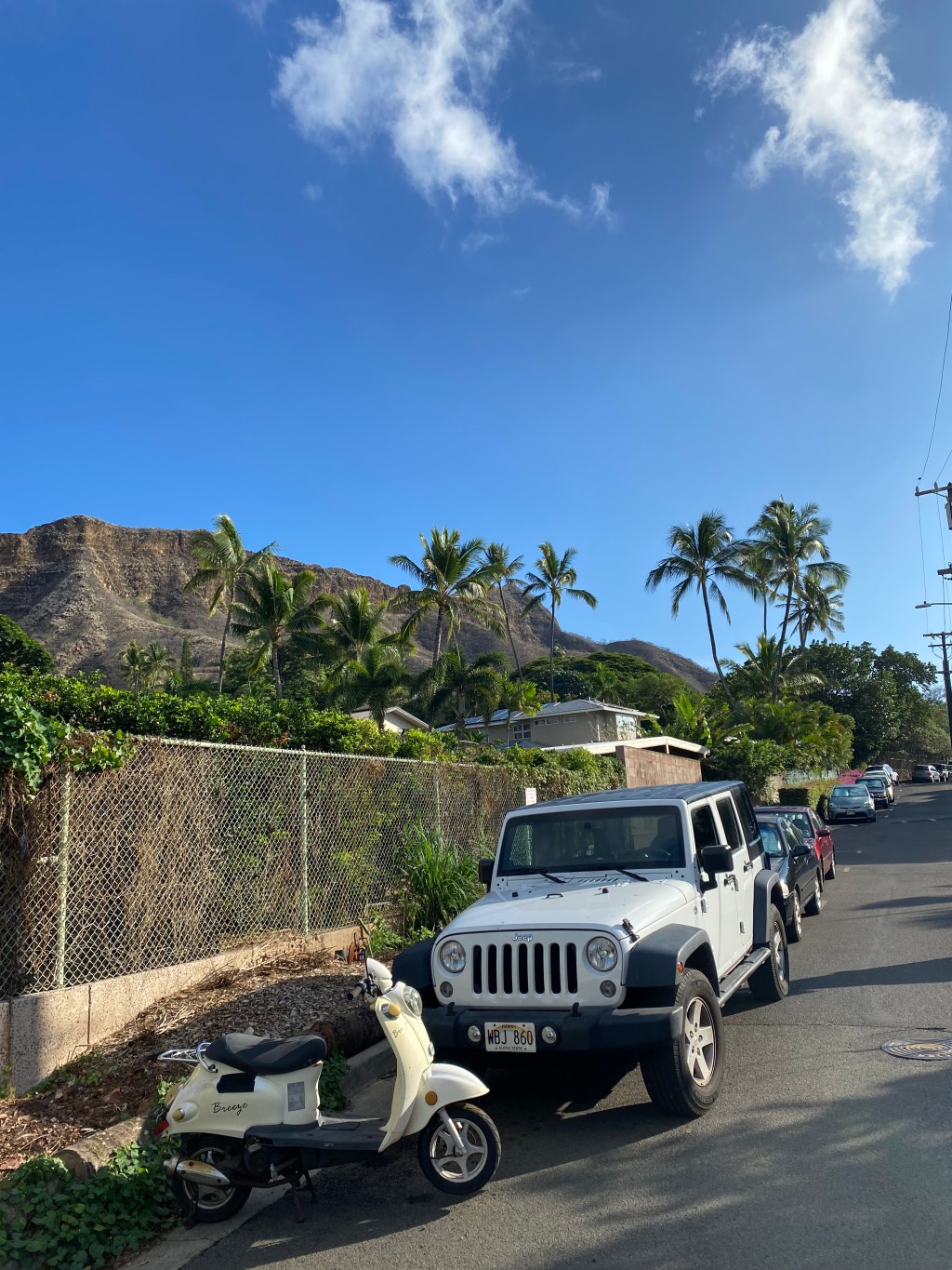 Aloha Vibes: Best Places To Visit & Top Things To Do On Oahu