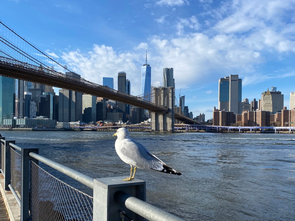 72 Hours In New York: Tis The Season In The Big Apple