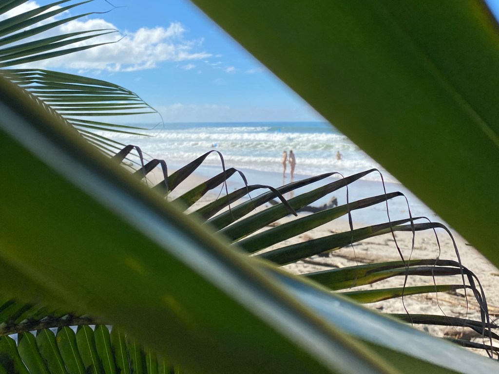 Pura Vida Paradise: How To Make The Most Of A Trip To Costa&nbsp;Rica